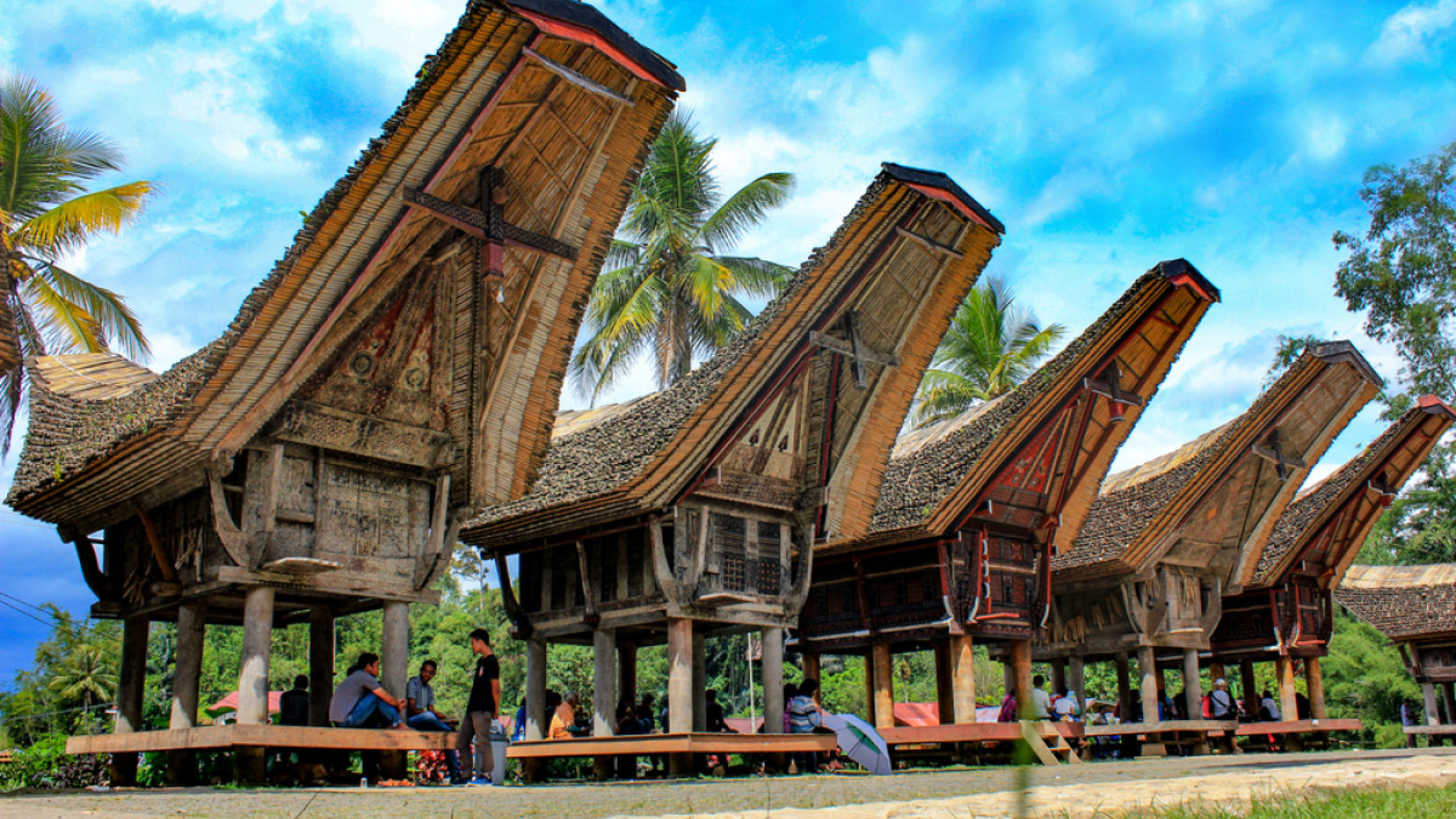 rumah adat tongkonan